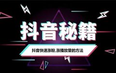 抖音加粉秘籍：从0到10万粉丝的策略