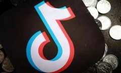 抖音粉丝增长实战指南从零到万的突破之路